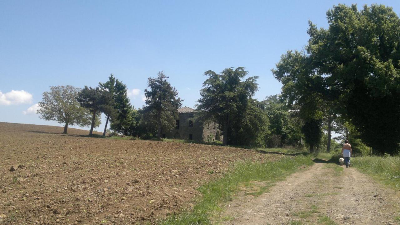 Appartamento Miralago Bolsena Extérieur photo